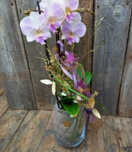 Orchidee im Glas mittel